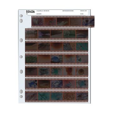 Print File Archival 35mm Negative Pages (5 Frame/7 Strip, 25 Pack)