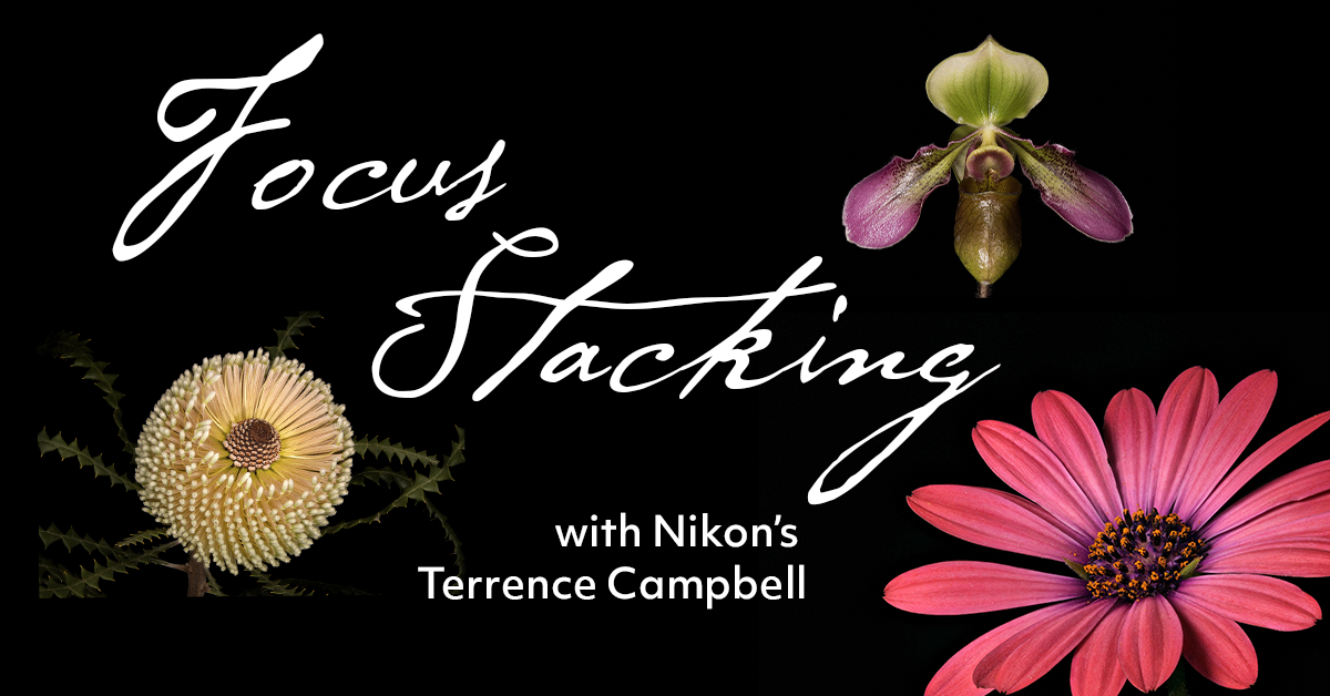 Focus Stacking with Nikon's Terrence Campbell