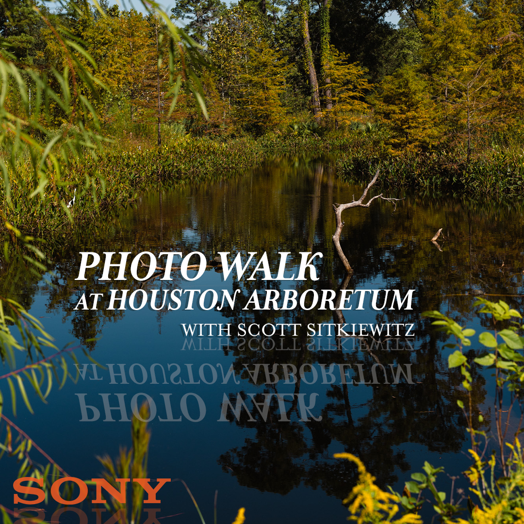 Photo Walk at Houston Arboretum with Sony's Scott Sitkiewitz